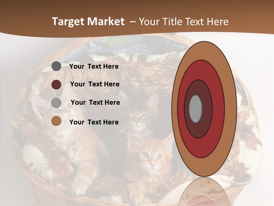 Whisker Breed Cat PowerPoint Template