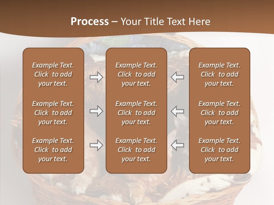 Whisker Breed Cat PowerPoint Template