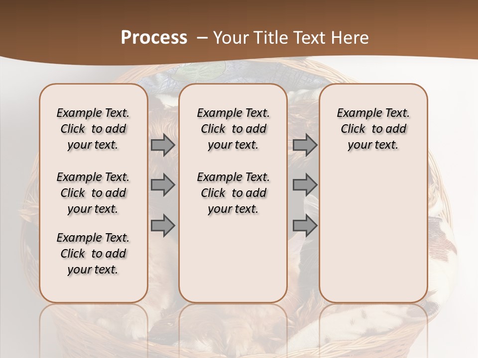 Whisker Breed Cat PowerPoint Template
