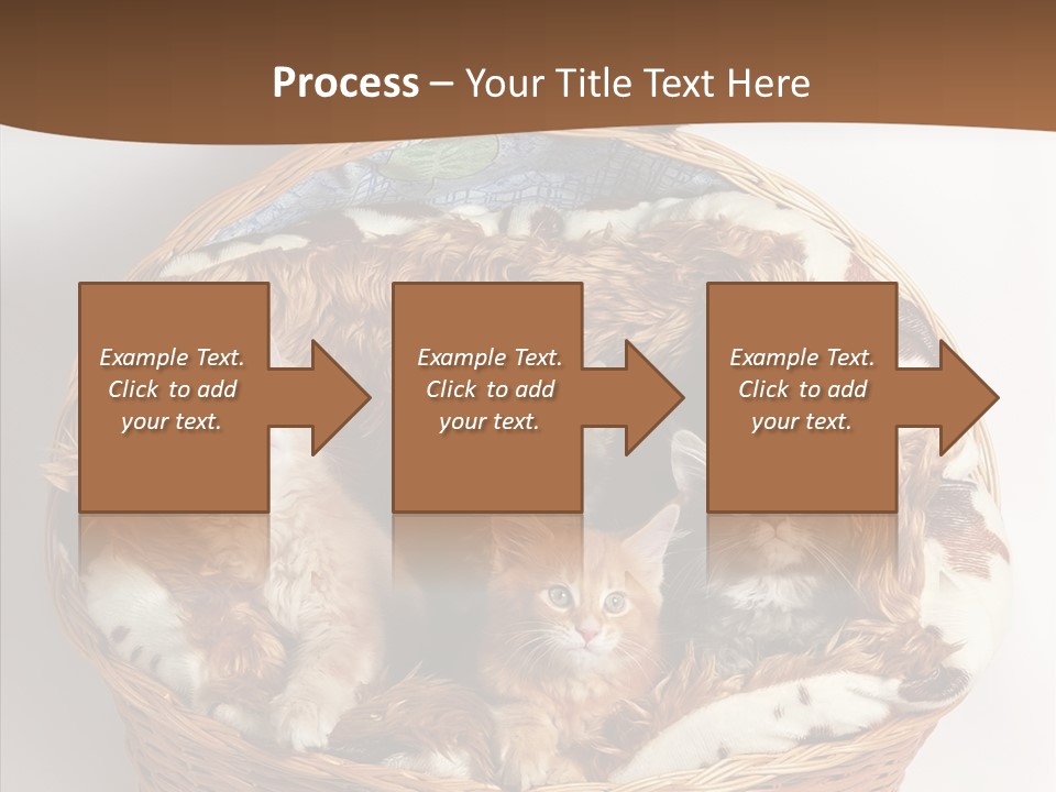 Whisker Breed Cat PowerPoint Template