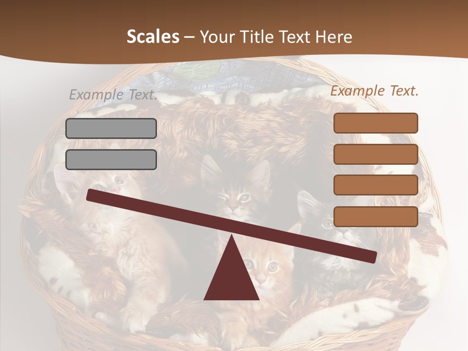 Whisker Breed Cat PowerPoint Template