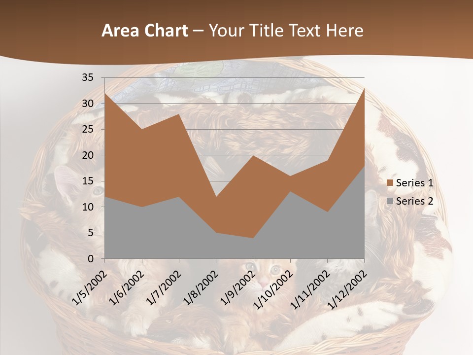 Whisker Breed Cat PowerPoint Template