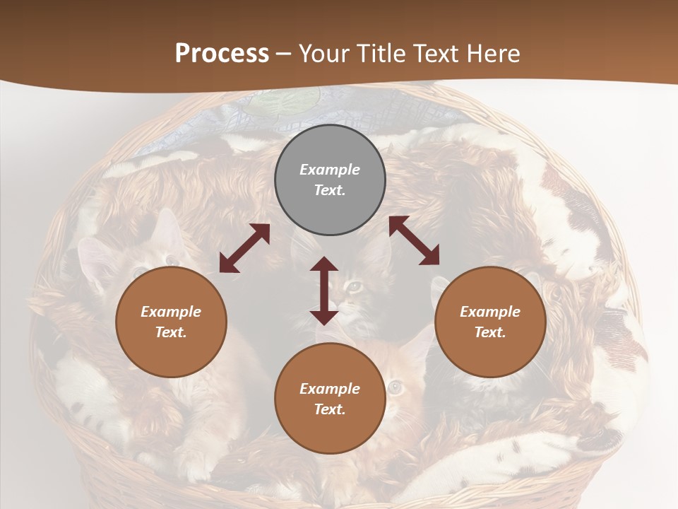 Whisker Breed Cat PowerPoint Template