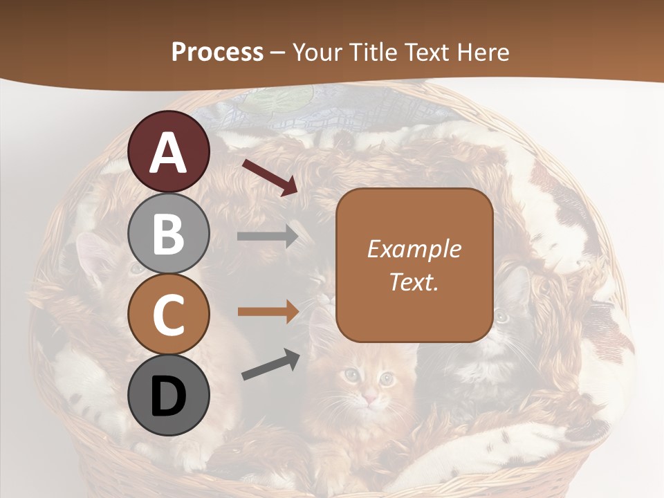 Whisker Breed Cat PowerPoint Template