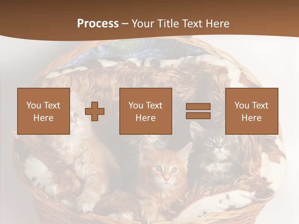 Whisker Breed Cat PowerPoint Template