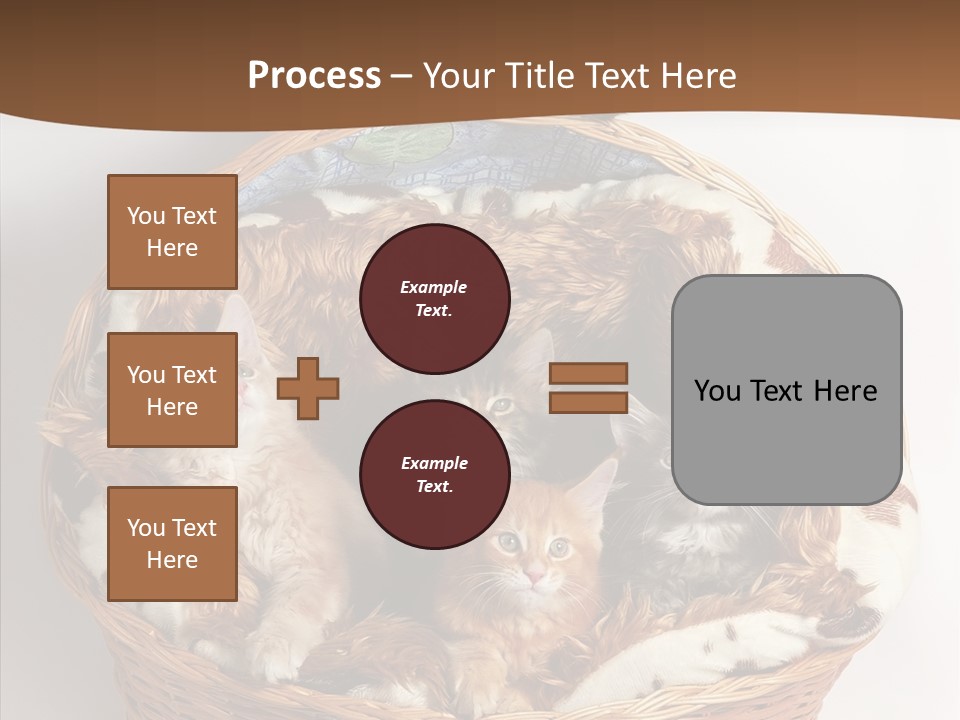Whisker Breed Cat PowerPoint Template