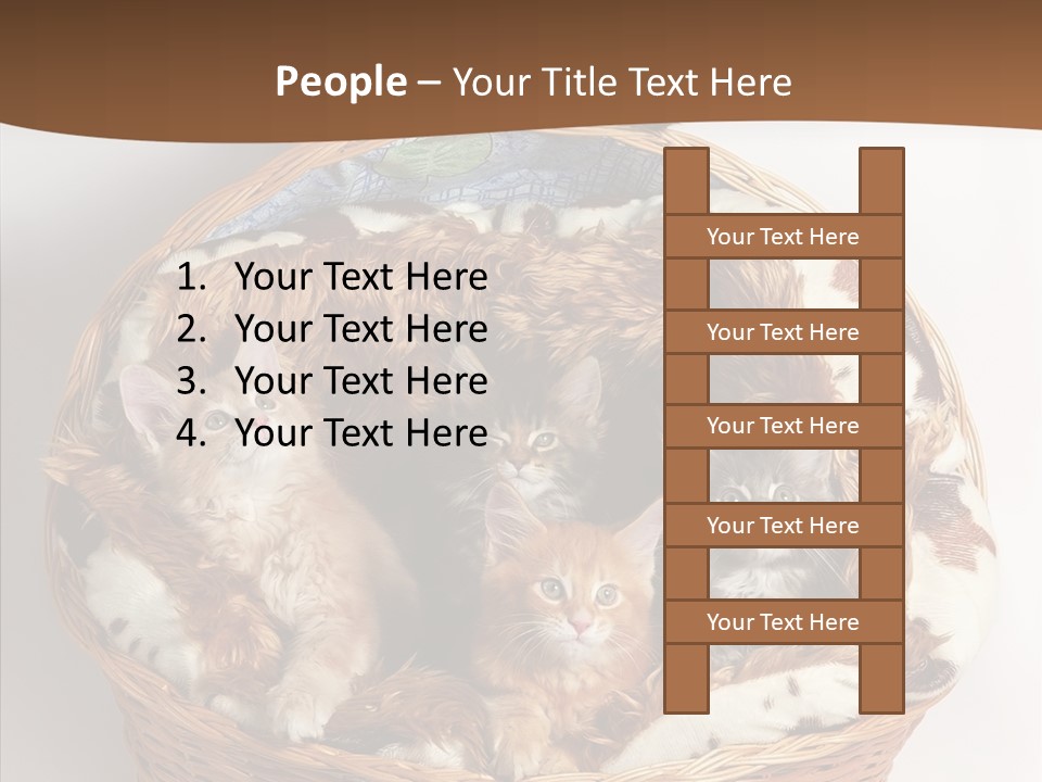 Whisker Breed Cat PowerPoint Template