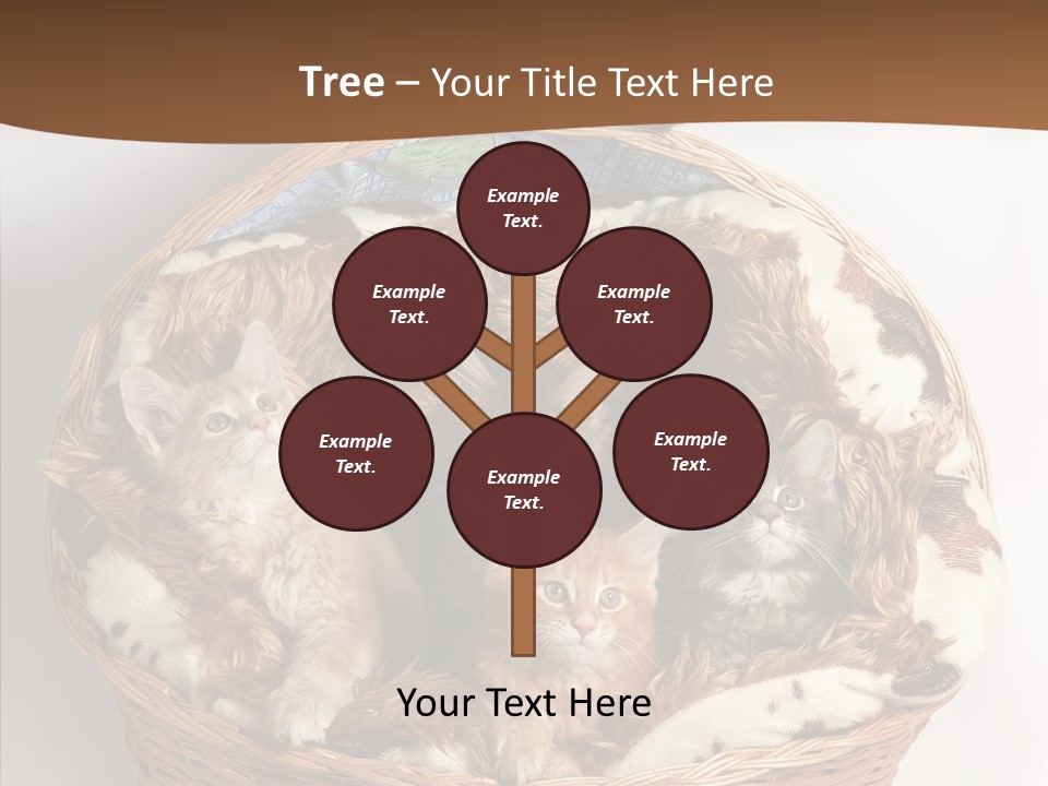 Whisker Breed Cat PowerPoint Template