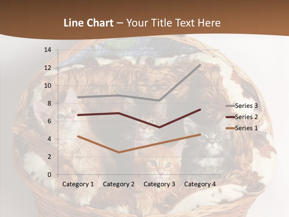 Whisker Breed Cat PowerPoint Template