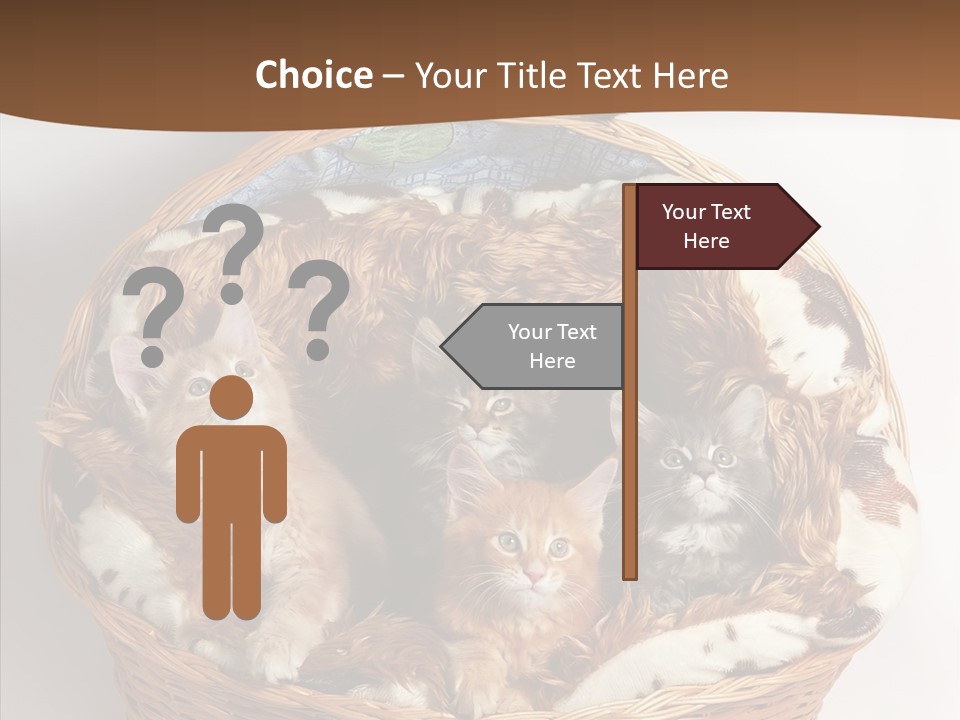 Whisker Breed Cat PowerPoint Template