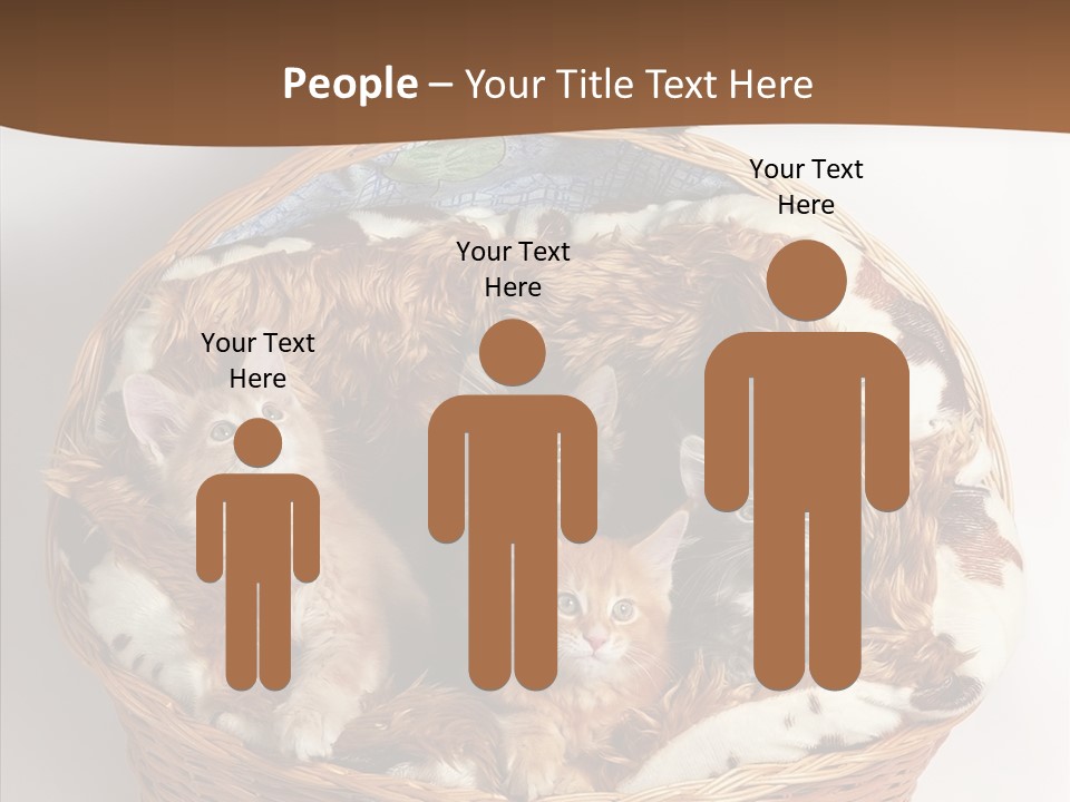 Whisker Breed Cat PowerPoint Template