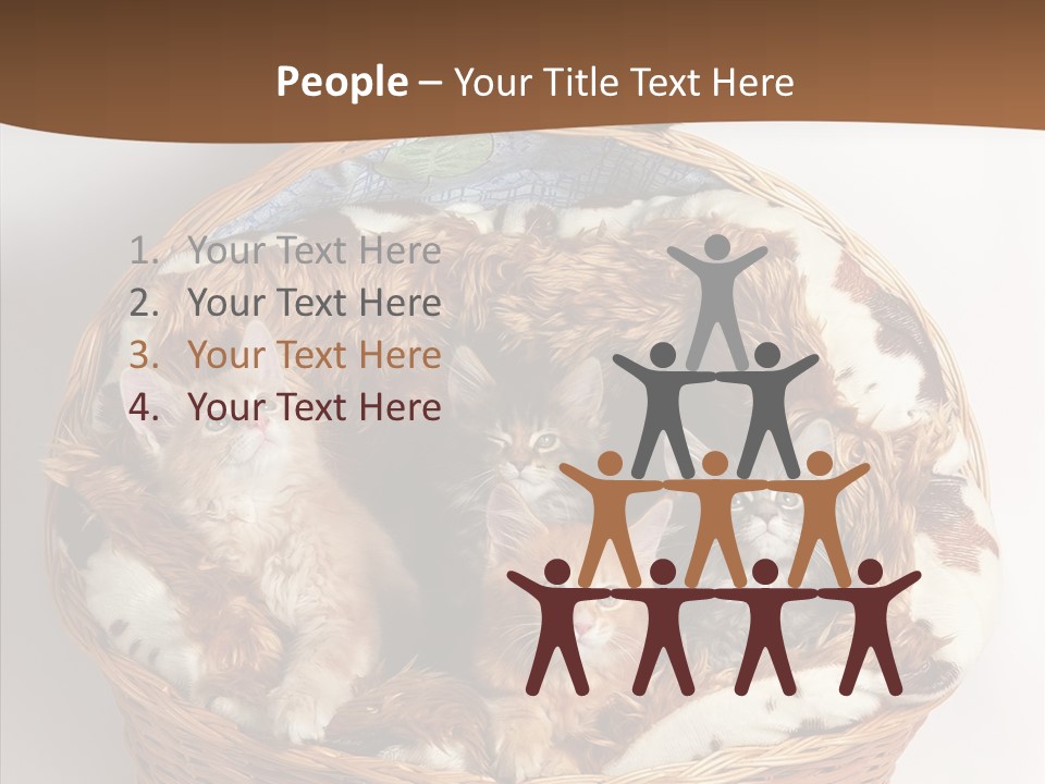 Whisker Breed Cat PowerPoint Template