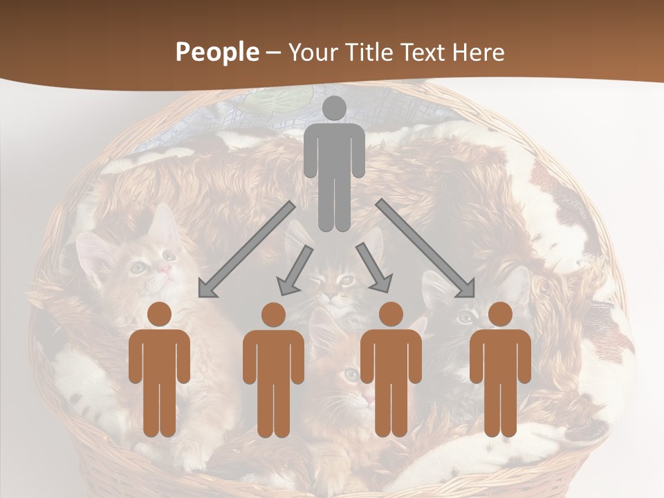 Whisker Breed Cat PowerPoint Template