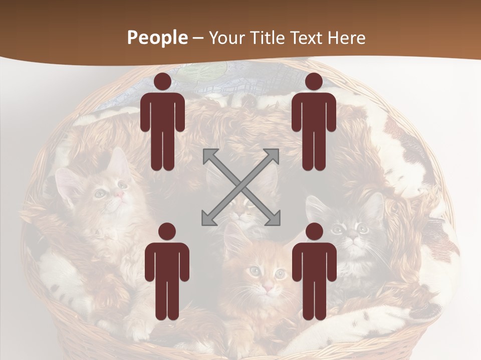 Whisker Breed Cat PowerPoint Template