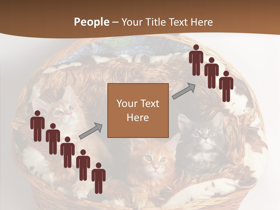 Whisker Breed Cat PowerPoint Template