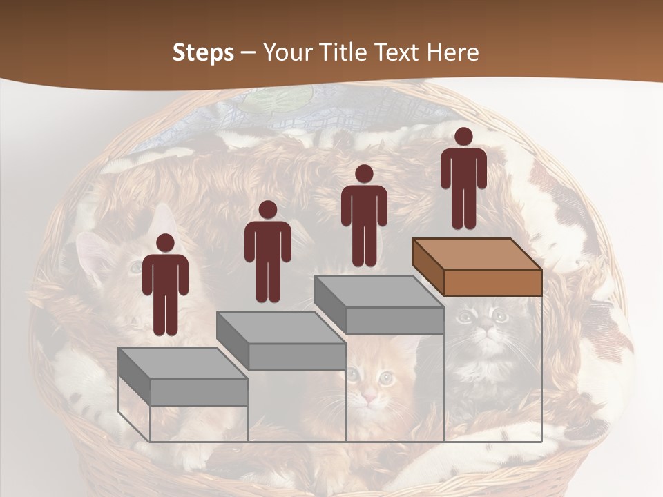 Whisker Breed Cat PowerPoint Template