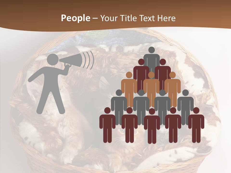 Whisker Breed Cat PowerPoint Template