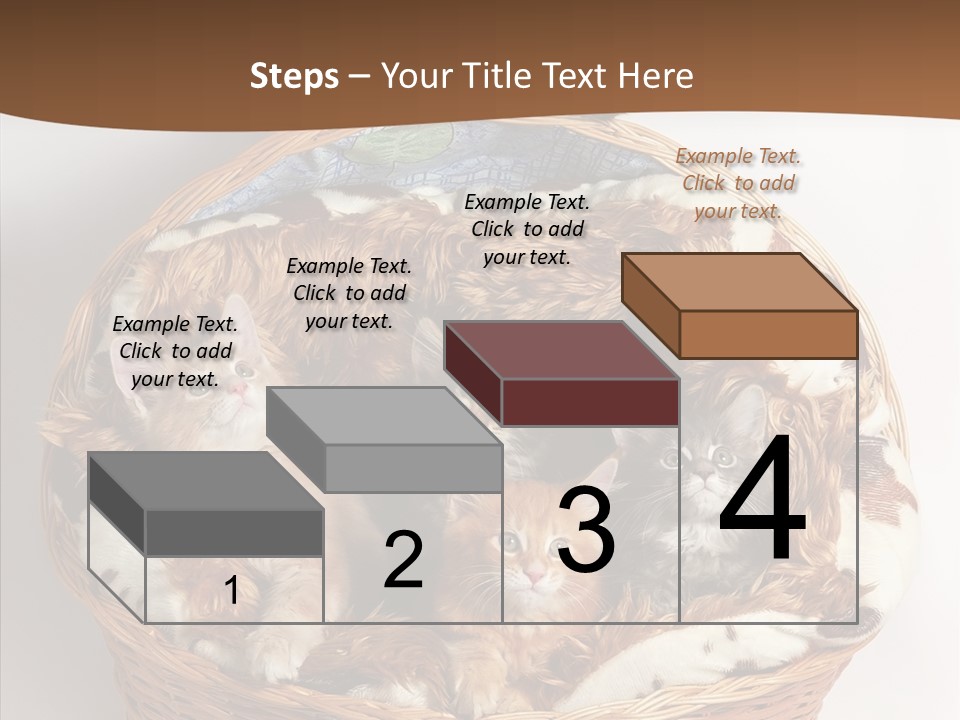 Whisker Breed Cat PowerPoint Template