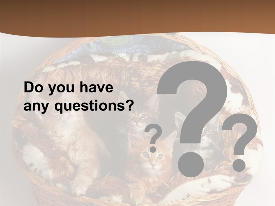 Whisker Breed Cat PowerPoint Template