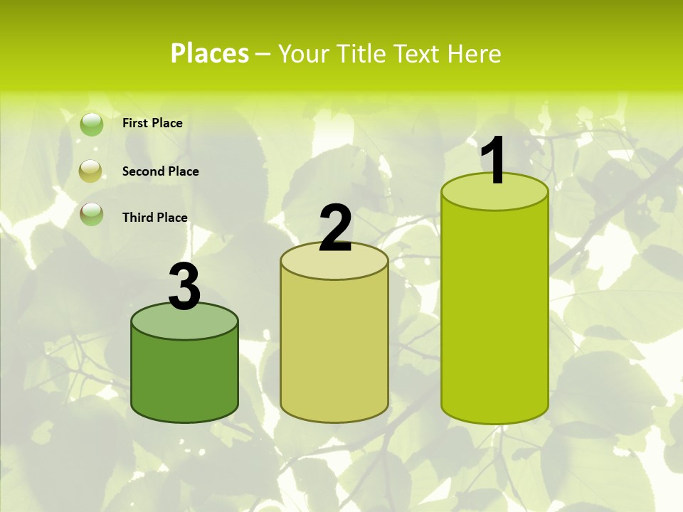 Nature Branches Tree PowerPoint Template