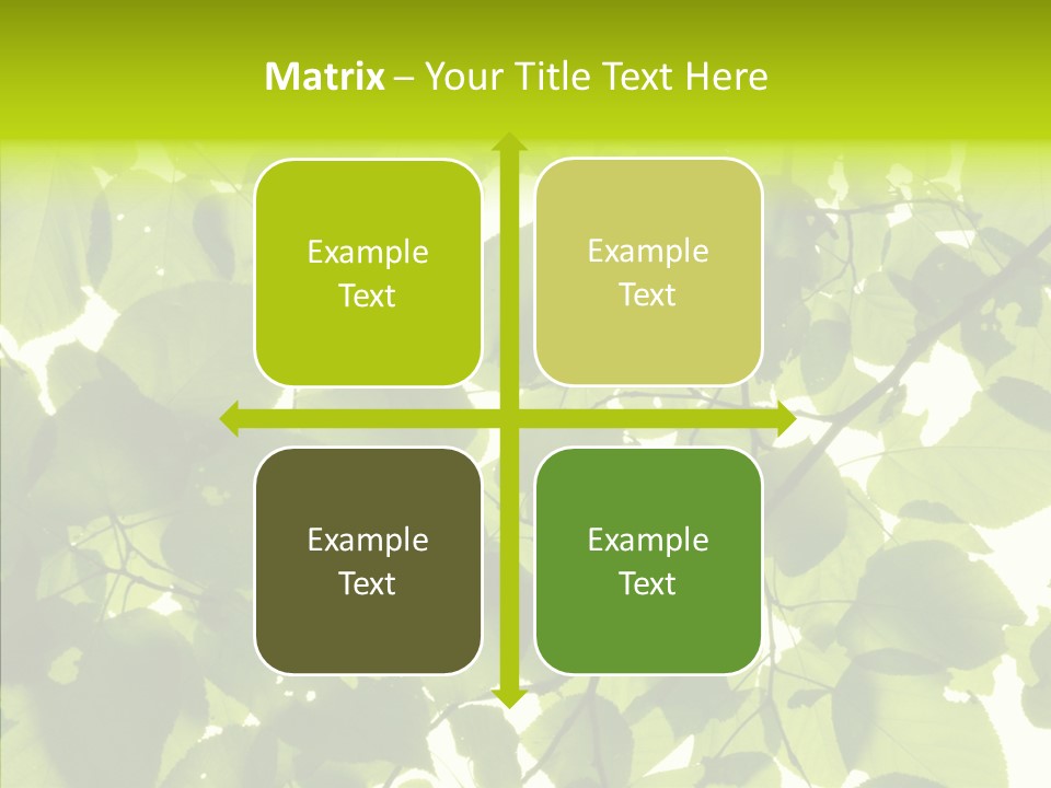 Nature Branches Tree PowerPoint Template