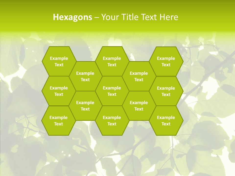Nature Branches Tree PowerPoint Template