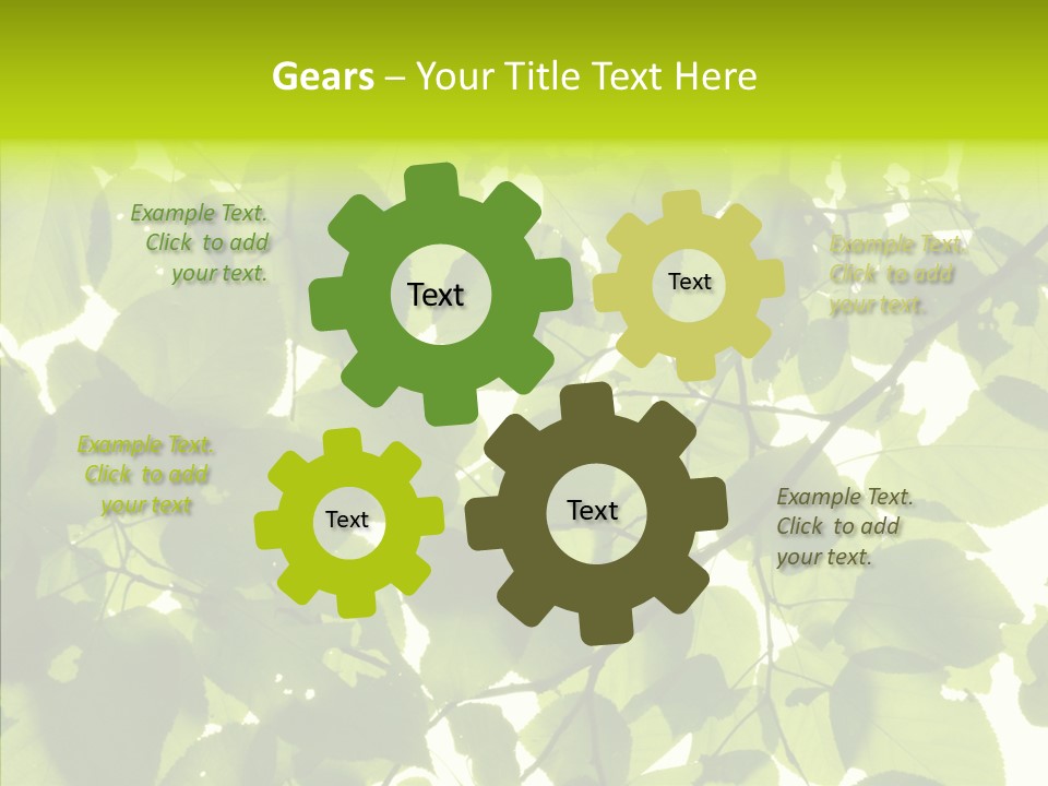 Nature Branches Tree PowerPoint Template