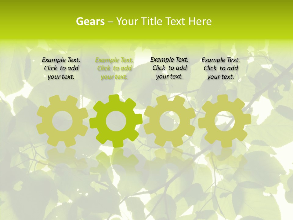 Nature Branches Tree PowerPoint Template