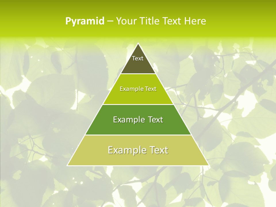 Nature Branches Tree PowerPoint Template
