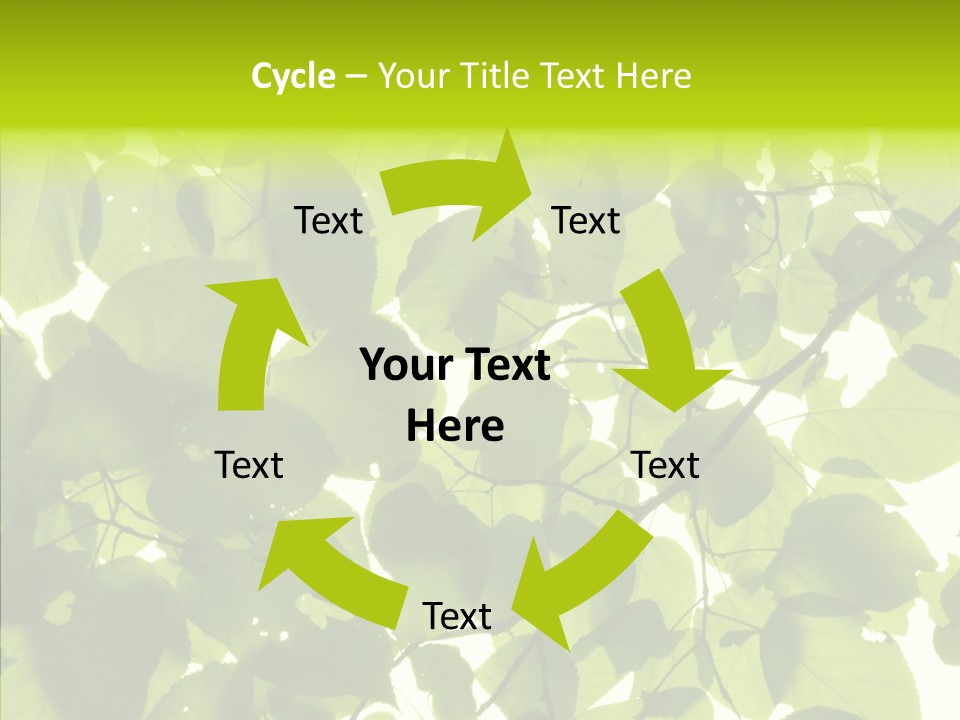 Nature Branches Tree PowerPoint Template