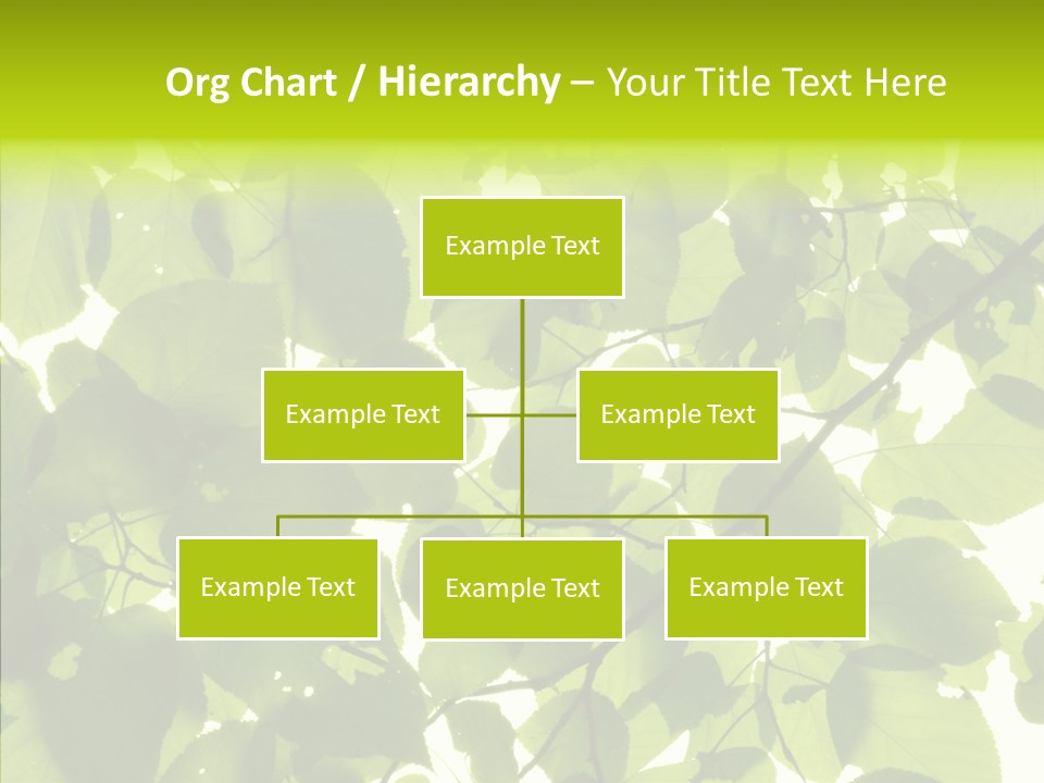 Nature Branches Tree PowerPoint Template