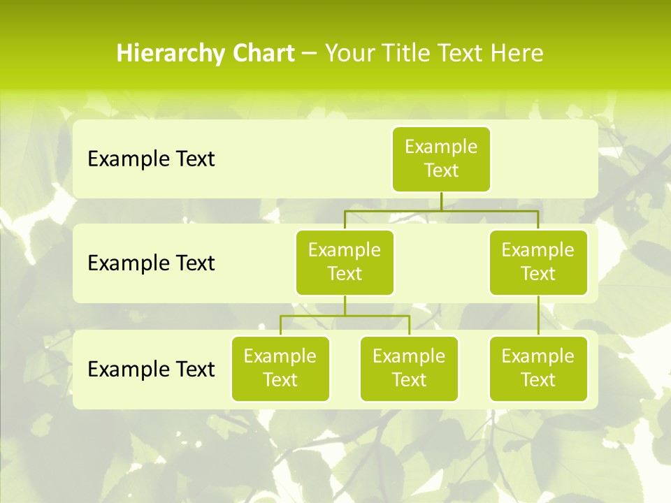 Nature Branches Tree PowerPoint Template