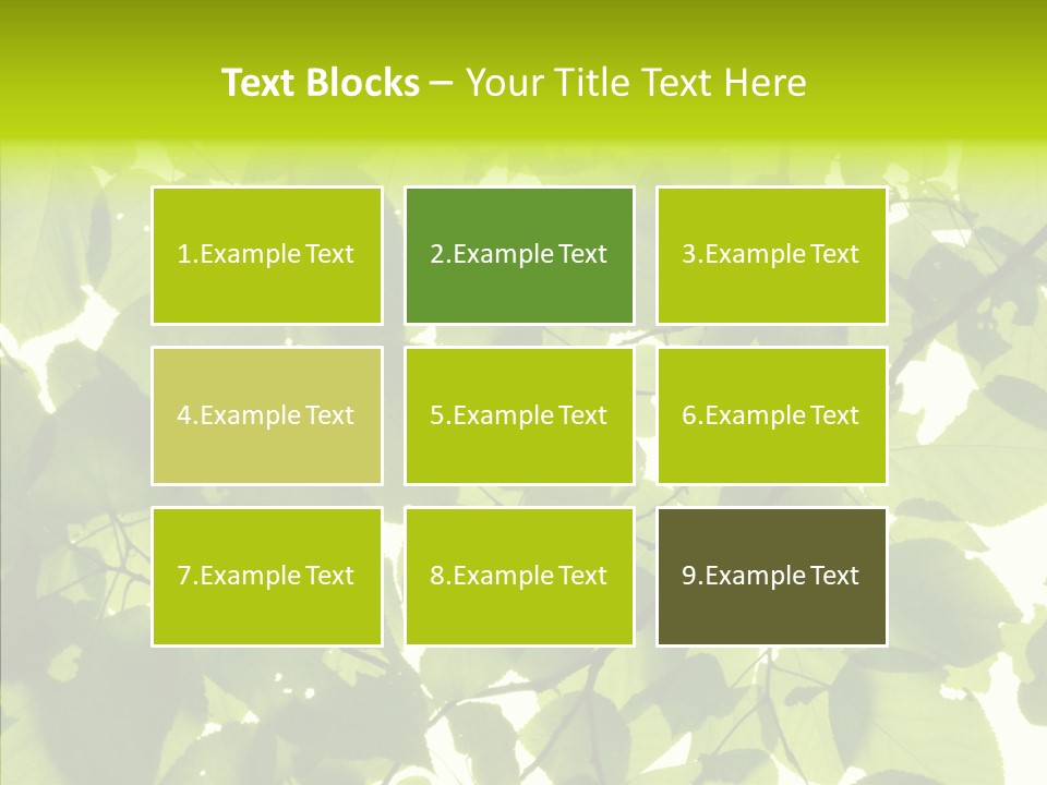 Nature Branches Tree PowerPoint Template