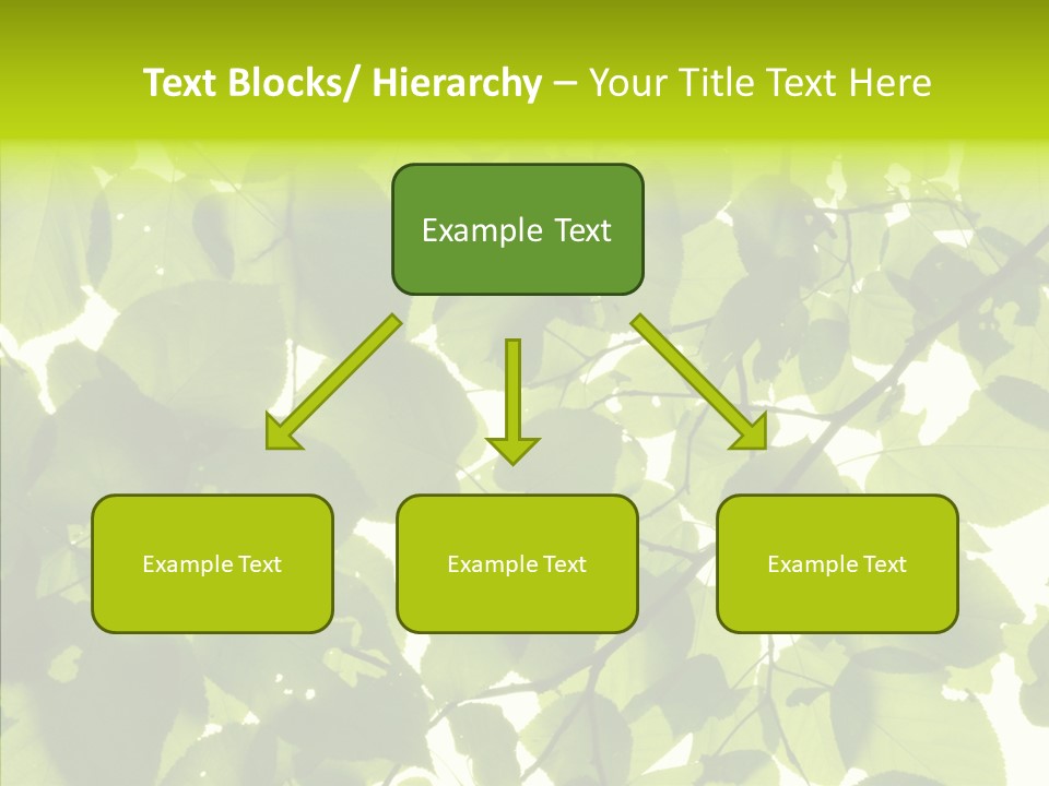 Nature Branches Tree PowerPoint Template