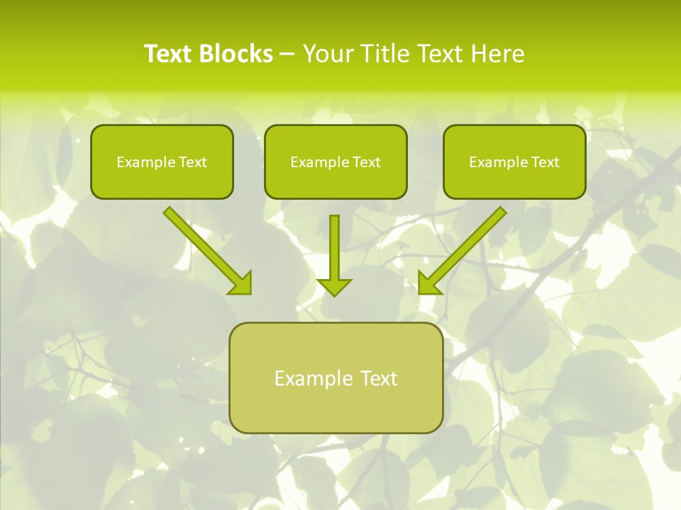 Nature Branches Tree PowerPoint Template