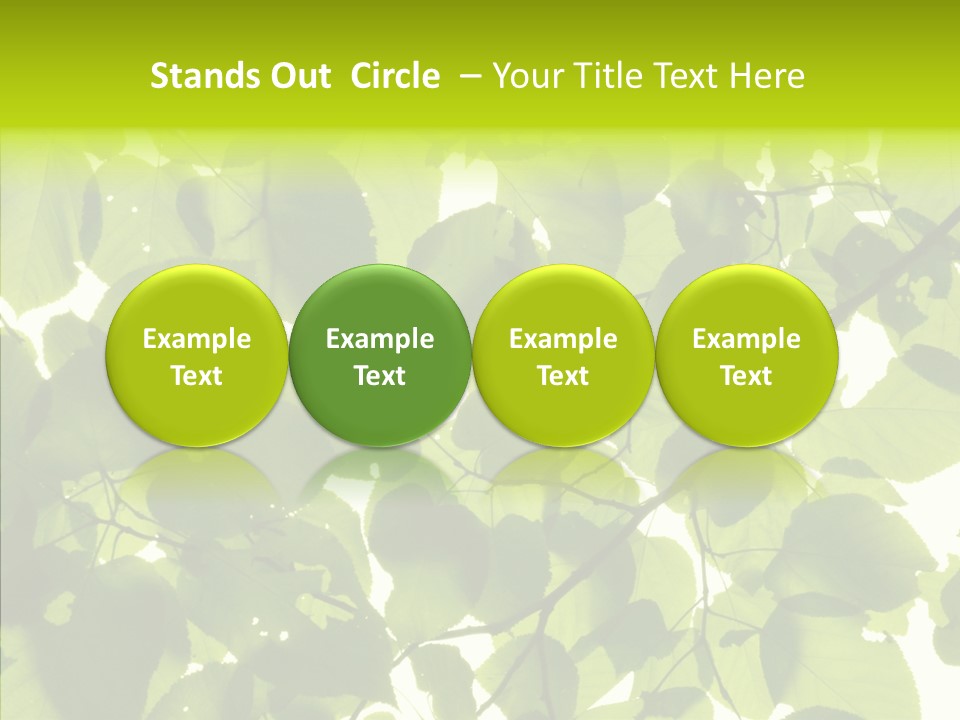 Nature Branches Tree PowerPoint Template