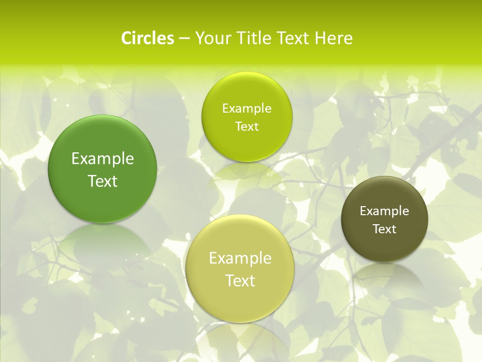 Nature Branches Tree PowerPoint Template