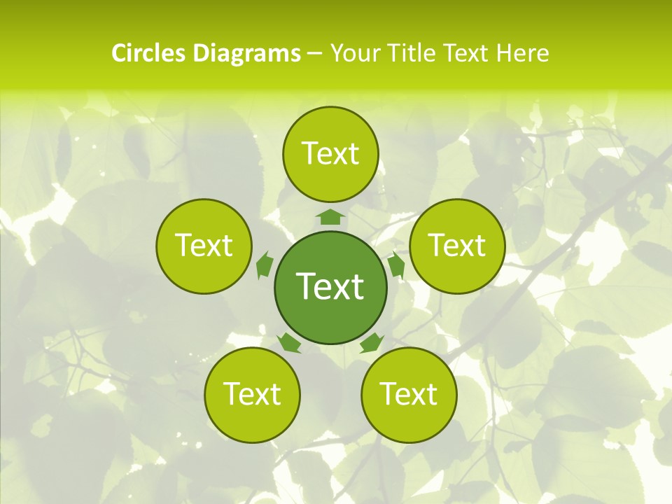 Nature Branches Tree PowerPoint Template