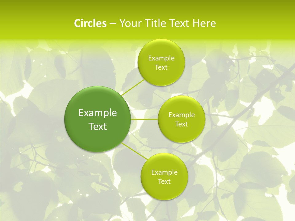 Nature Branches Tree PowerPoint Template