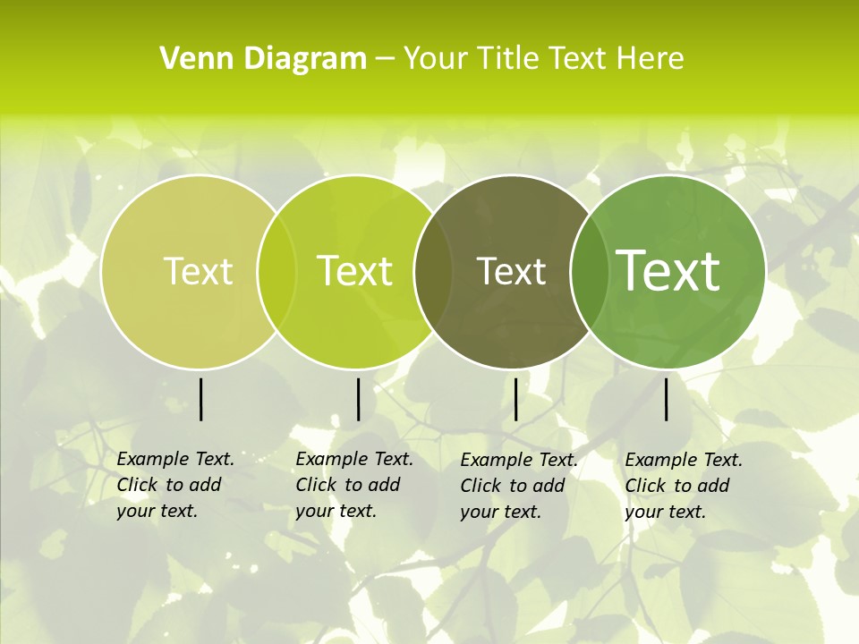 Nature Branches Tree PowerPoint Template