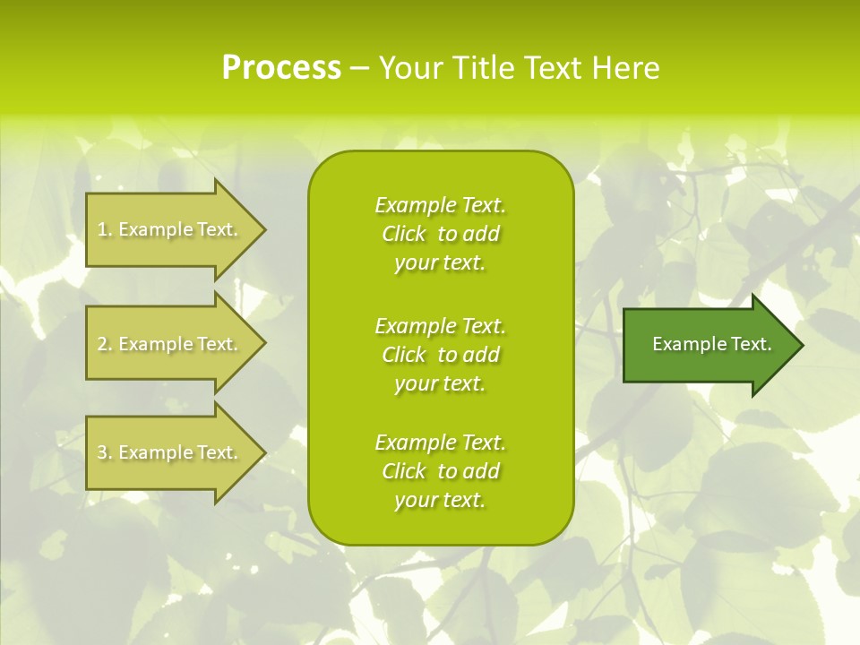 Nature Branches Tree PowerPoint Template