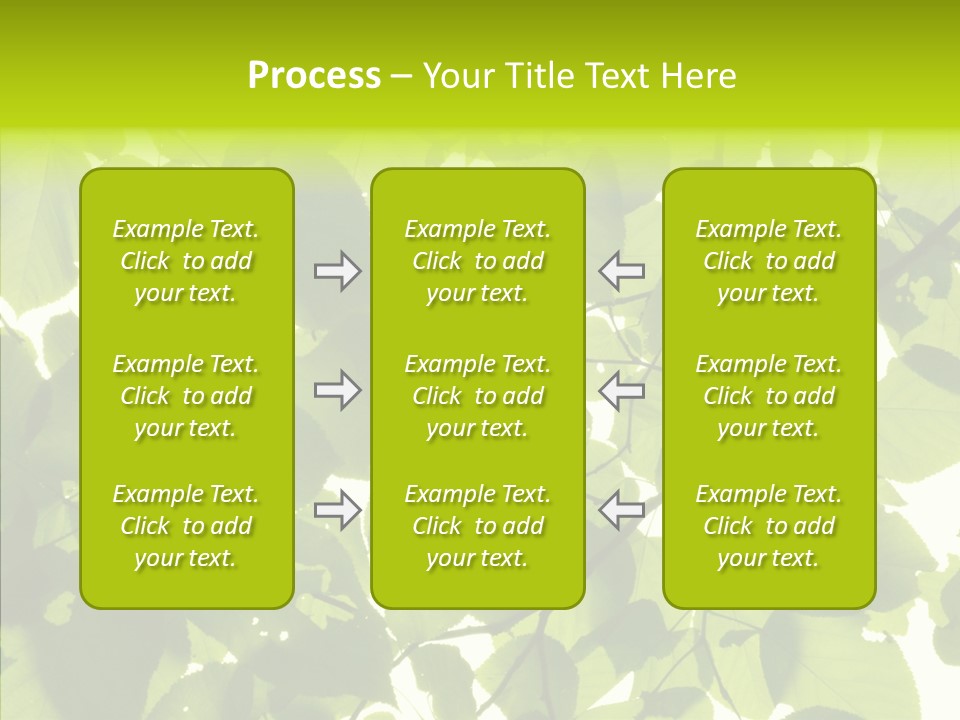 Nature Branches Tree PowerPoint Template