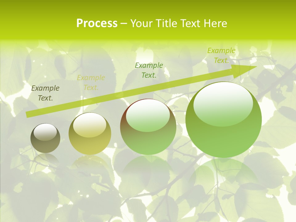 Nature Branches Tree PowerPoint Template
