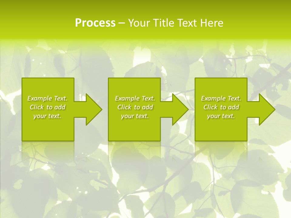 Nature Branches Tree PowerPoint Template