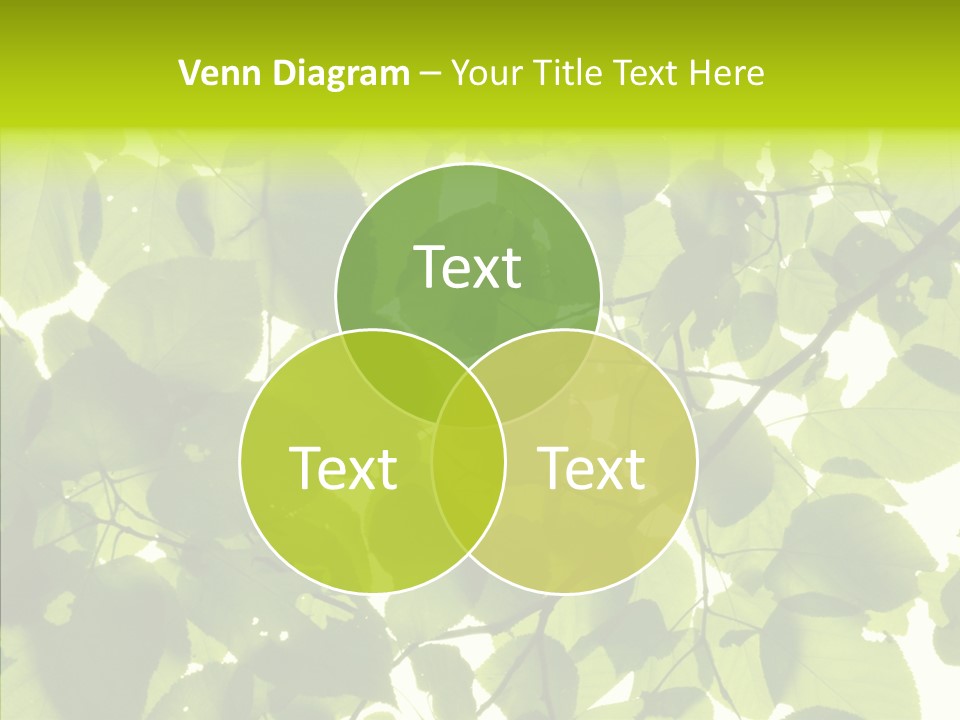 Nature Branches Tree PowerPoint Template