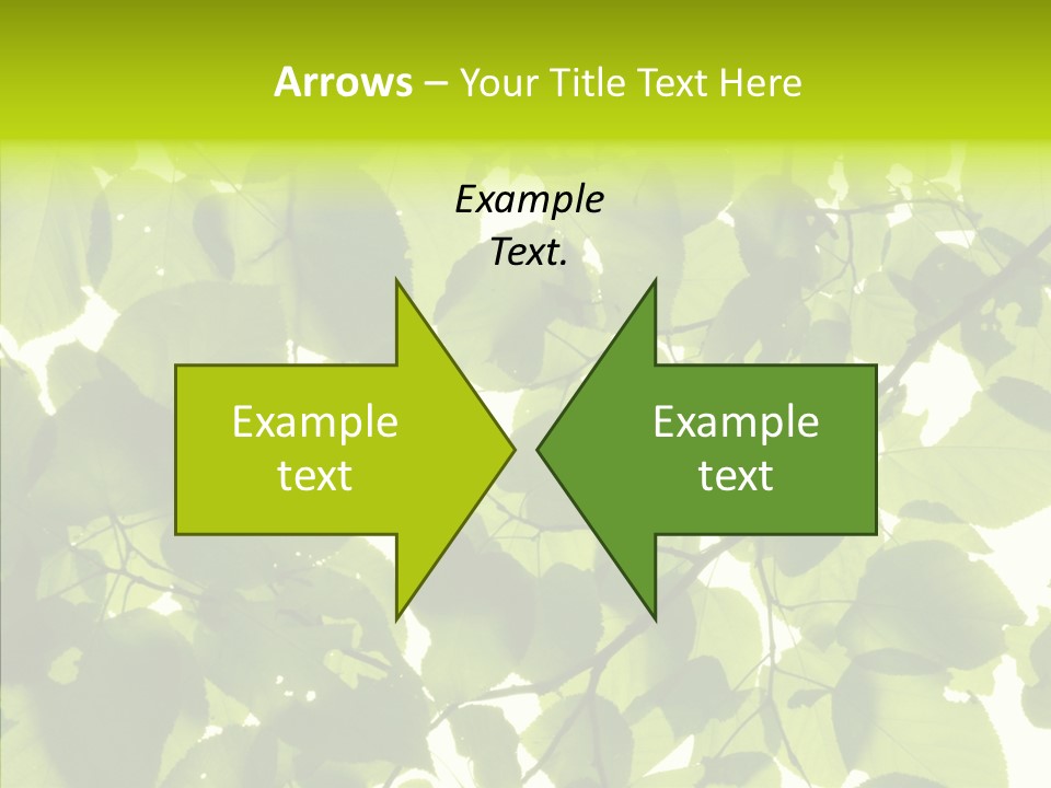 Nature Branches Tree PowerPoint Template