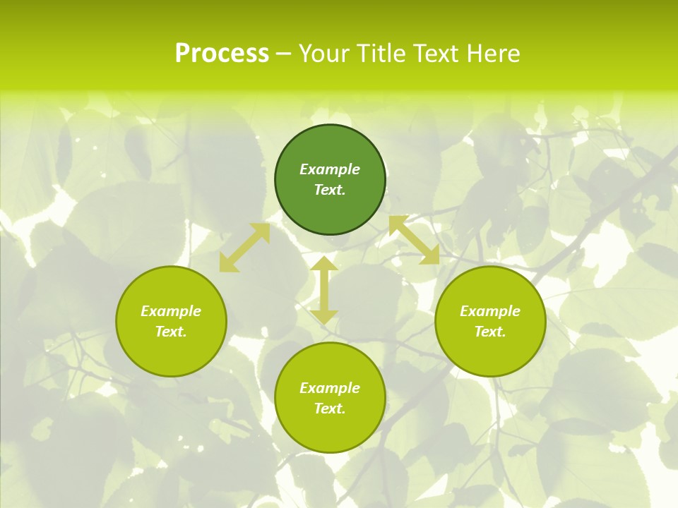 Nature Branches Tree PowerPoint Template