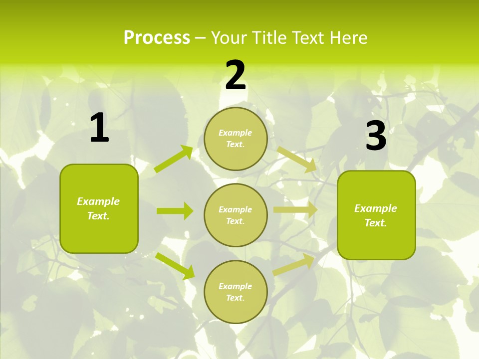 Nature Branches Tree PowerPoint Template