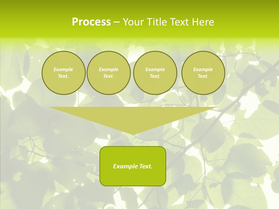 Nature Branches Tree PowerPoint Template
