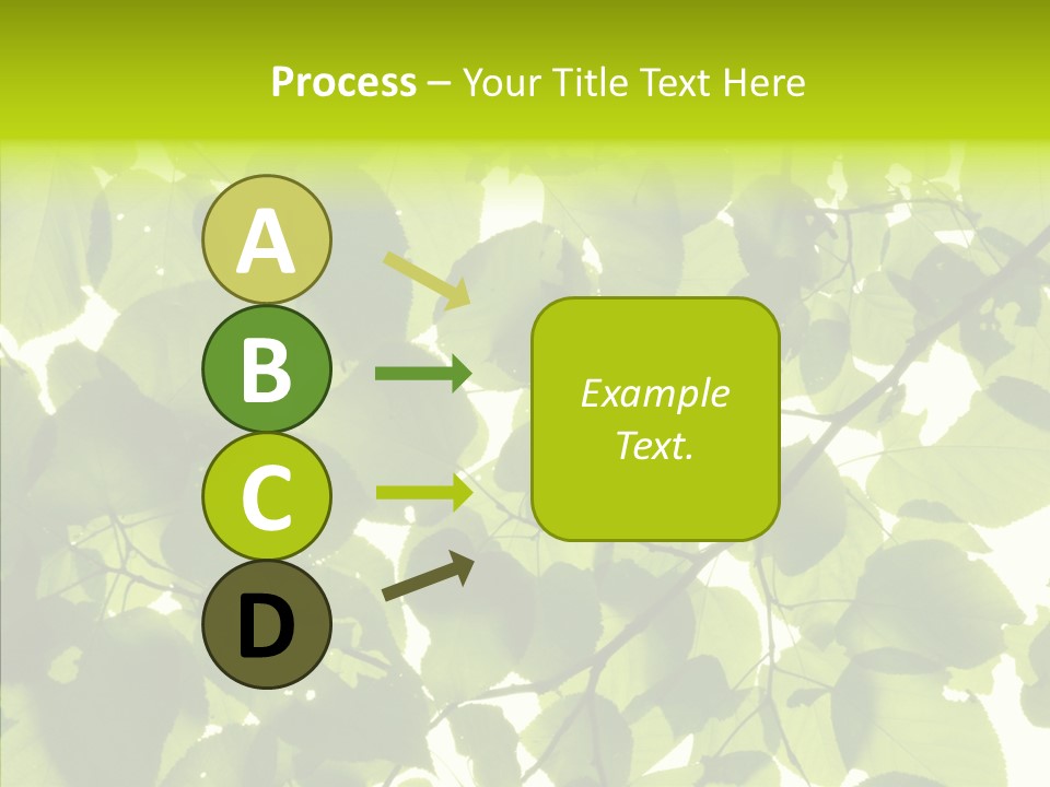 Nature Branches Tree PowerPoint Template